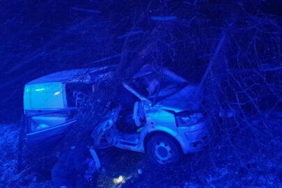 Volkswagen T5 wjechał w drzewa. Kierowcę reanimował świadek