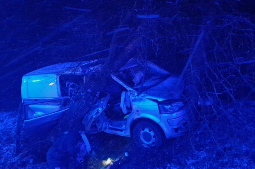 Volkswagen T5 wjechał w drzewa. Kierowcę reanimował świadek