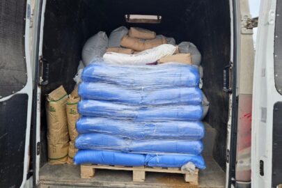 Przeładowane Iveco Daily i 40 groszy za każdy kg ponad DMC