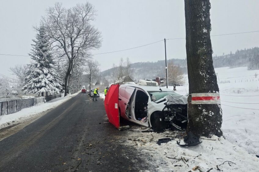 Mercedes Citan uderzył w przydrożne drzewo. Kierowca zmarł