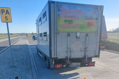 5150 kg tylko na tylnej osi. Przeciążony bus ściągnięty z DK 15