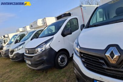 11-letni van z Niemiec z dieslem: takie LCV sprowadzamy do Polski