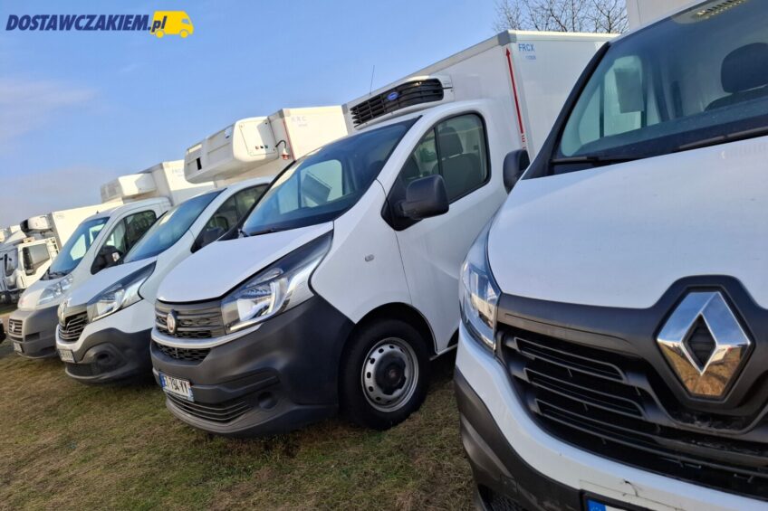 11-letni van z Niemiec z dieslem: takie LCV sprowadzamy do Polski