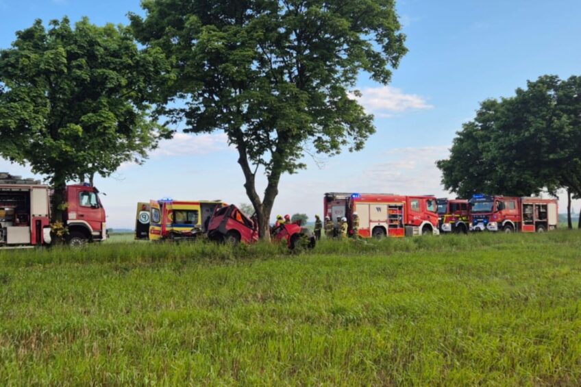 Minibus złamany na pół. Kierowcy Vivaro nie udało się uratować