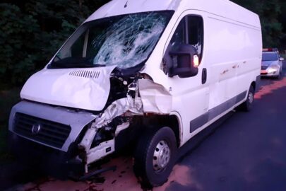 Ducato kontra dzikie zwierzę. Wyciek paliwa i zatrzymany dowód