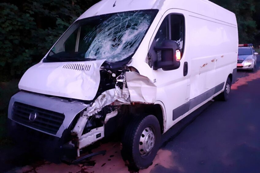 Ducato kontra dzikie zwierzę. Wyciek paliwa i zatrzymany dowód