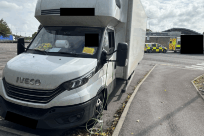 Pospinany Dajlak i sprawa w sądzie