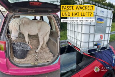 Klient sobie poradził. Dwa przykłady oszczędności w transporcie