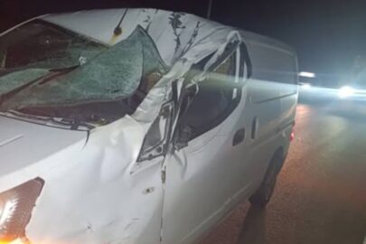 Przez jakiegoś łosia uszkodzone zostały 2 vany. Sprawca zbiegł