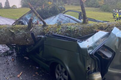 Drzewo spadło na VW Multivana. Kierowca ciężko ranny