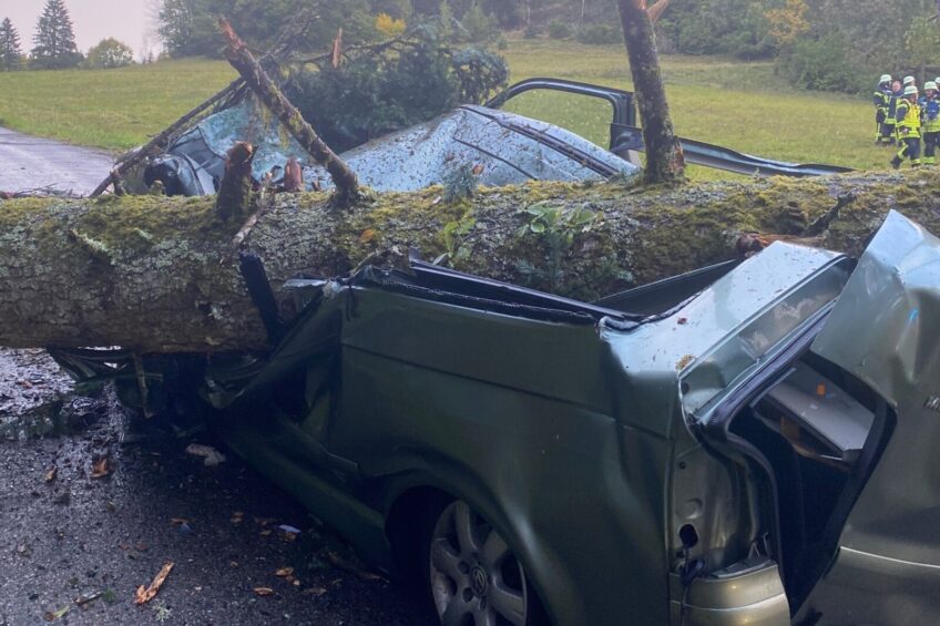 Drzewo spadło na VW Multivana. Kierowca ciężko ranny