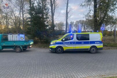 Lepszy cwaniak. Wjechał T4 do lasu próbując uniknąć kontroli