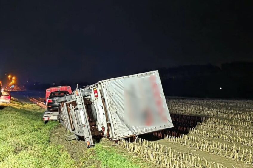 Na DW 308 Daily ciągnące na lawecie busa wpadło do rowu