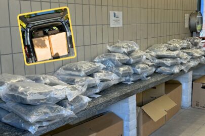 Niepozorny „Kangur” załadowany po sufit narkotykami