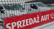 Które modele LCV najczęściej importowano do Polski w 2025 roku?
