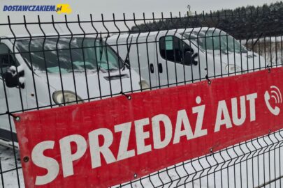 Które modele LCV najczęściej importowano do Polski w 2025 roku?