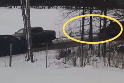 Mondeo na dachu ciągnięte na lince za Rangerem. W tle alkohol