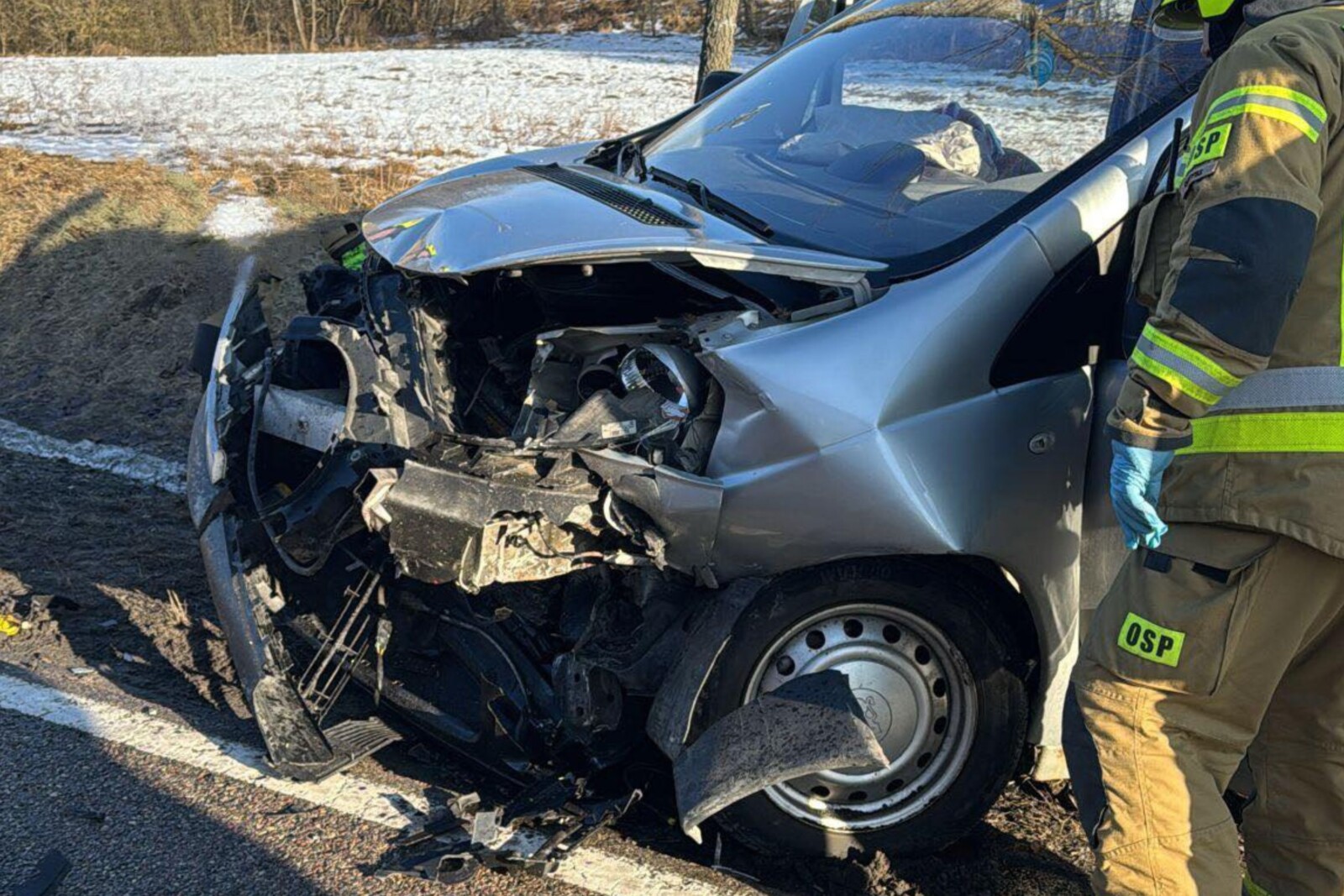 DK 16: łoś wskoczył w Octavię a ta wjechała w Peugeota Experta