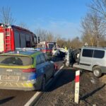 DK 16: łoś wskoczył w Octavię a ta wjechała w Peugeota Experta