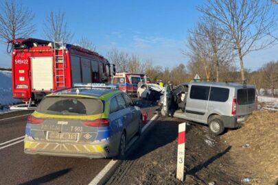 DK 16: łoś wskoczył w Octavię a ta wjechała w Peugeota Experta