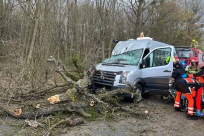 Silny wiatr i burze – pod Grudziądzem na VW Craftera spadł konar