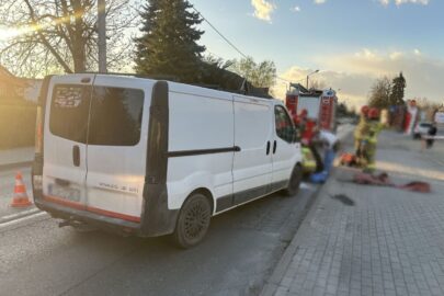 Zaprzęg konny uderzył w Vivaro – jeden z kucy został uśpiony
