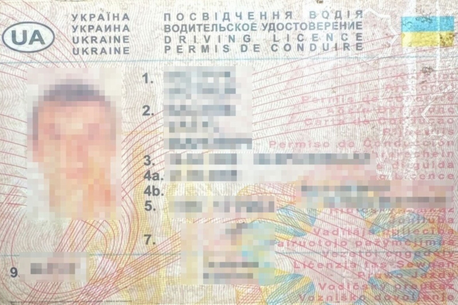 Fałszywe prawo jazdy a i bus niesprawny – kierowcy grozi do 5 lat