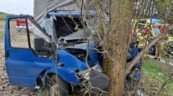 Na DK 78 dostawczy Transit uderzył w drzewo – ranne 2 osoby