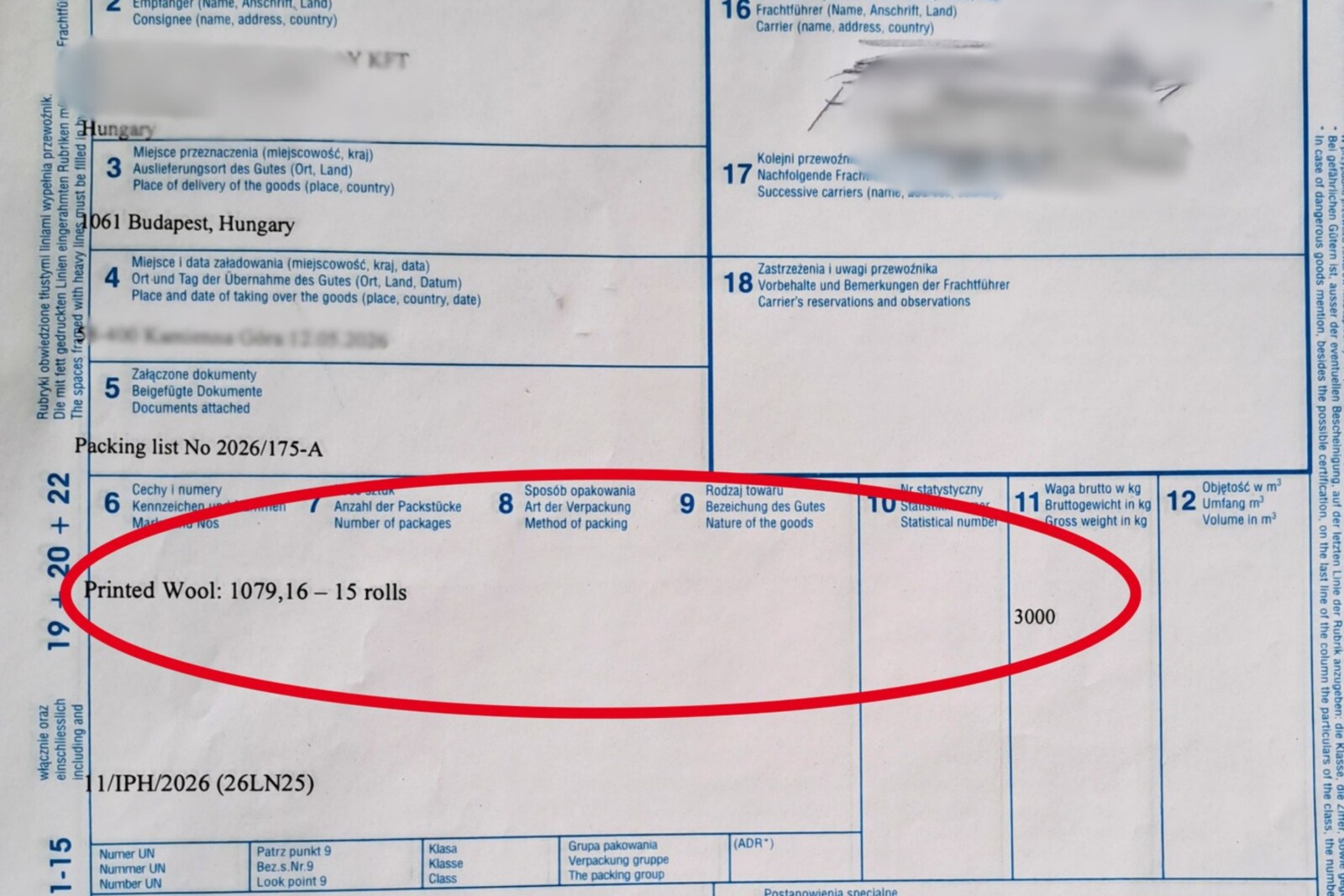Polski „Dajlak” na wagach INSID. Kara dla kierowcy i przewoźnika