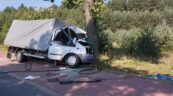 Ford Transit uderzył w drzewo. Kierowca zasłabł –  w akcji LPR