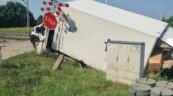 Boxer wjechał na tory pod drezynę – kierowca busa z mandatem