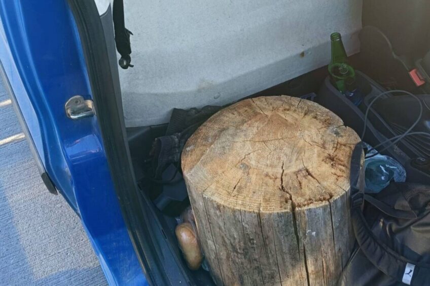 Wiózł na pieńku pasażera. Kierowca Fiorino i sam pasażer ukarani