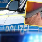 39 usterek - ta autolaweta z przyczepą do Polski nie dojechała