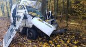 Uciekał przed policją. Kierowca busa zmarł po uderzeniu w drzewo